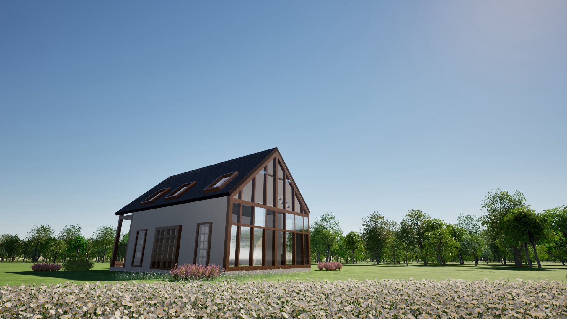 Project 9 photo 2